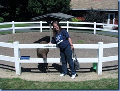 3012 Pennsylvania - Gettysburg, PA - Land of Little Horses