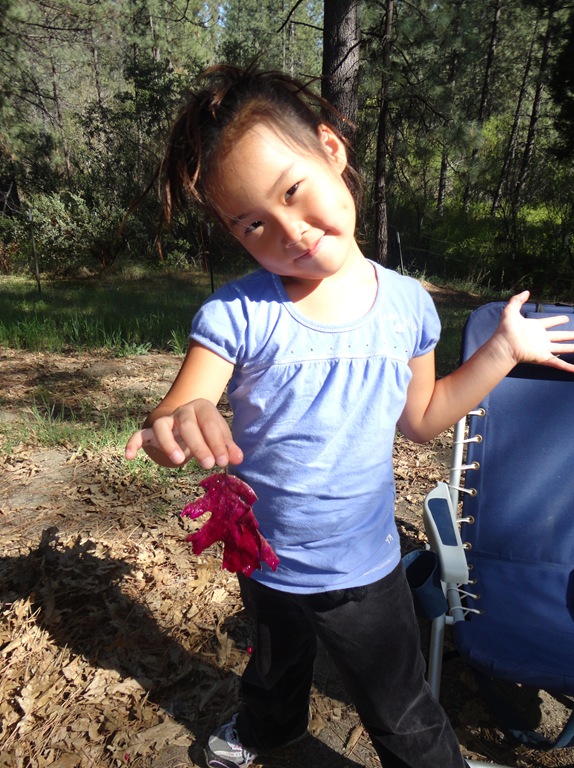 [Idyllwild%2520Camping%2520146A%255B4%255D.jpg]