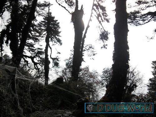 [Pathivarayatra773.jpg]