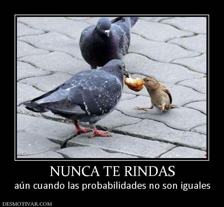 [desmotivacione%2520122%255B3%255D.jpg]