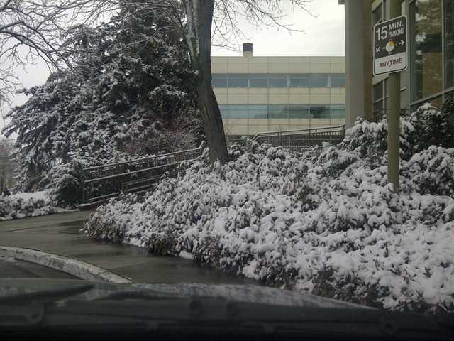 [IMG-20120219-02905.jpg]
