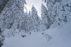 _MG_5341.jpg