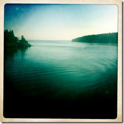 photo (16)