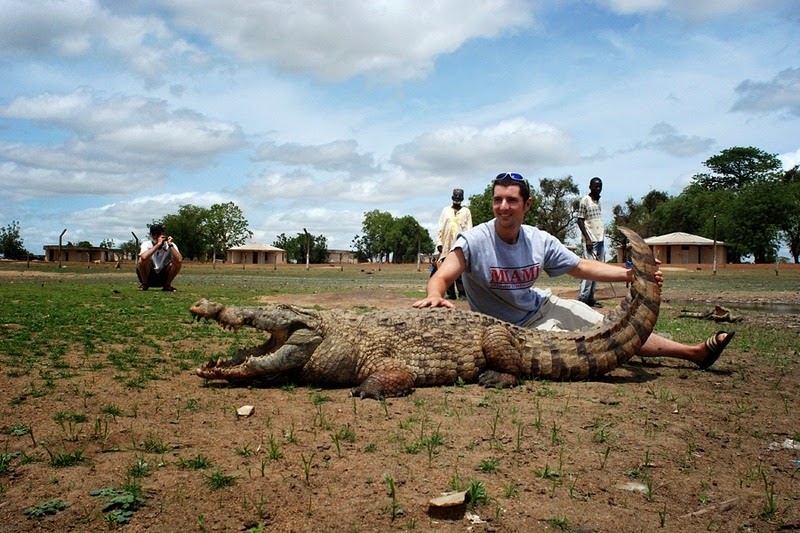 paga-crocodiles-3