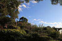 IMG_5144.JPG