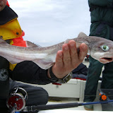 cimg0785.jpg