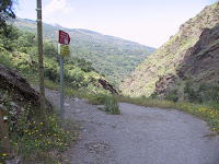 IMG_4786.JPG Photo