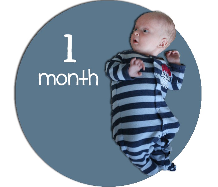 [1months%2520copy%255B4%255D.jpg]