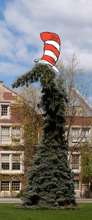 [64960_10150614934154550_10976724549_9270004_559147355_n%255B3%255D.jpg]