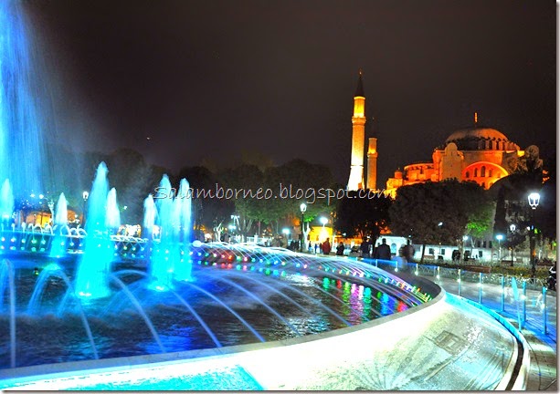 DSC_0131 DSC_0131