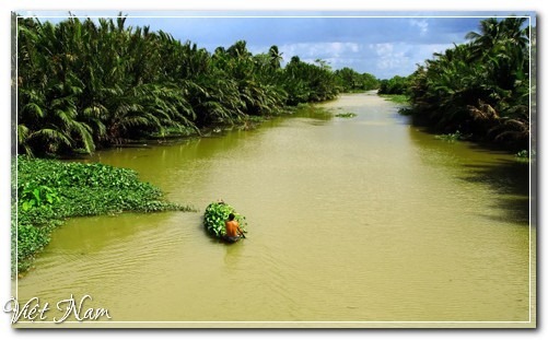 Mùa thu trên miền sông nước Long An, Việt Nam