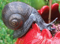 CARACOL.jpg