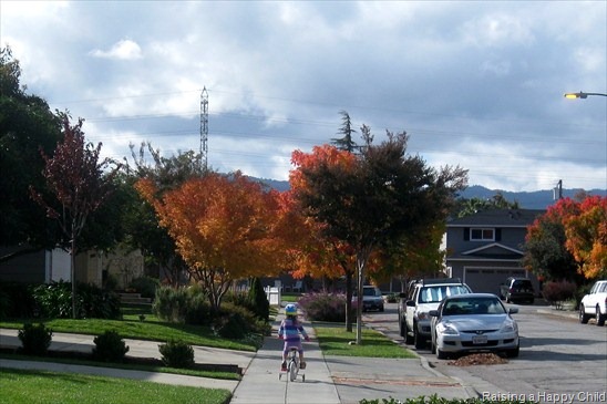 [Nov19_Bikes%255B3%255D.jpg]