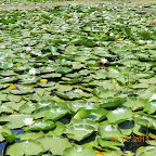 DSCN8274.JPG