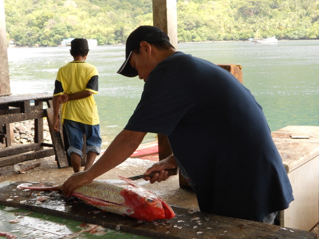 [DSCN04914.jpg]
