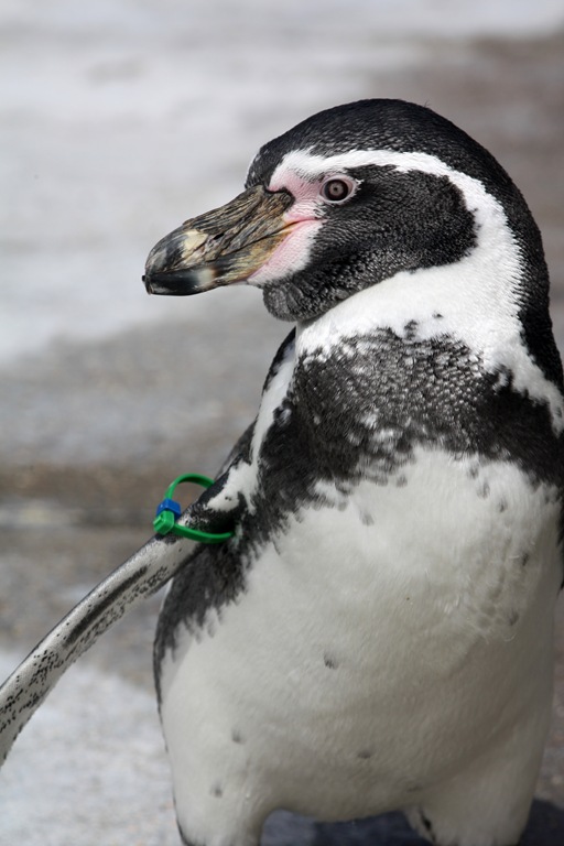 [IMG_5215-001%255B5%255D.jpg]