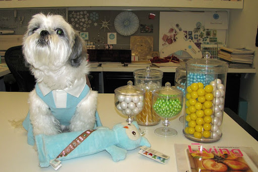 This is Lucy, the dog of Alex Perruzzi,
VP (Vice Pup) Licensing, Crafts, Celebrations. Lucy is wearing the Camp Scout Dress and is playing with the Owl Bottle Cruncher Toy. This is Lucy, the dog of Alex Perruzzi,
VP (Vice Pup) Licensing, Crafts, Celebrations. Lucy is wearing the Camp Scout Dress and is playing with the Owl Bottle Cruncher Toy.