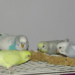 Jan 11-12  Eggie, Chase, Mya & Kai.JPG