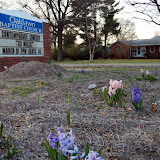 DSC_1086.JPG