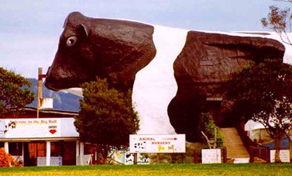 big_cow WAUCHOPE NSW