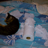IMAG0014.jpg