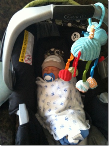 landonhome2