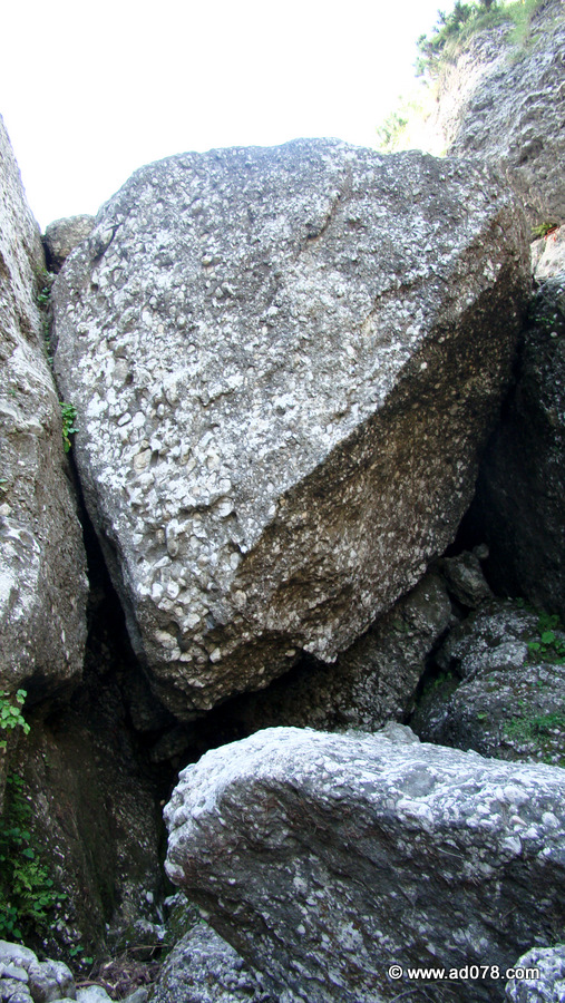 33.jpg 33.jpg