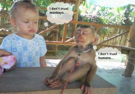 [viral-picdump-pics-43%255B2%255D.jpg]