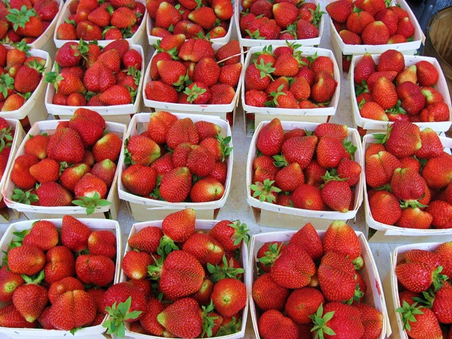 [strawberries%2520rhinebeck%2520farmers%2520market%255B4%255D.jpg]