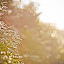 – 06-Dec-2011 – 06-Dec-2011