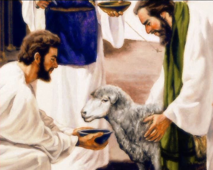 [PDVD_095%255B2%255D.jpg]