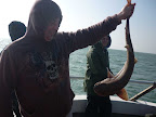 Image215.jpg