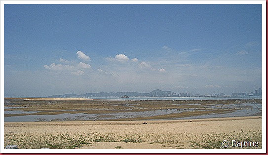 IMG_3719 IMG_3719