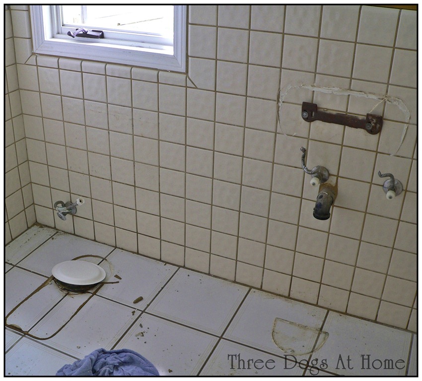 [house%2520stuff%2520017%255B1%255D.jpg]