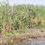DSCN9492.JPG