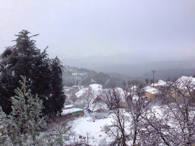 2015-01-07.jpg?imgmax=640