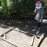 IMG_4070.JPG