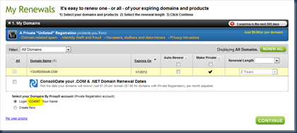 Screenshot of the GoDaddy.com My Renewals page
