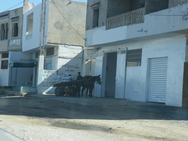Tunesien2009-0543.JPG