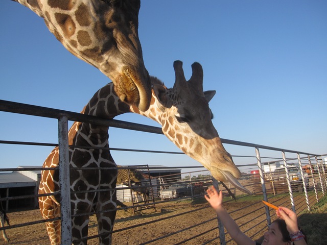 [IMG_8562%255B2%255D.jpg]