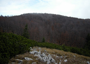 DSCN0531_resize.jpg