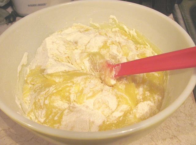 [2%2520ingredient%2520cans%2520lemon%2520filling%2520and%2520cake%2520mix%2520mixing%2520in%2520bowl%255B3%255D.jpg]