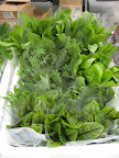 Pristine bunches of spring greens and lettuces