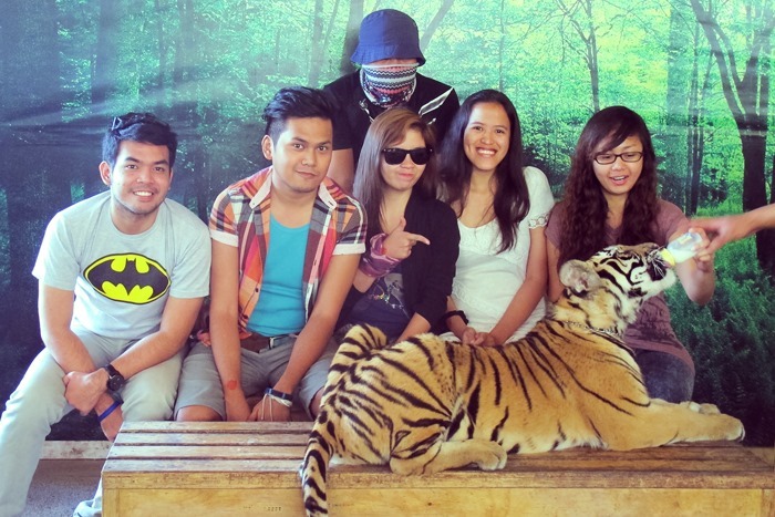 Photo Op with a Tiger Cub at Subic's Zoobic Safari