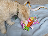 IMG_0024-7.JPG
