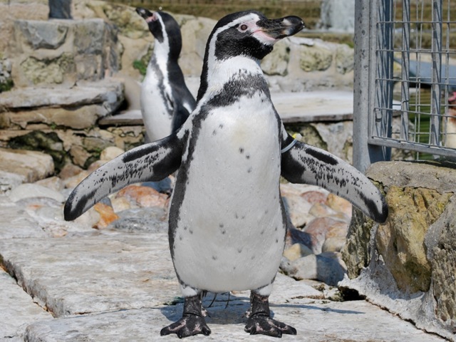 [DSC_0329%255B6%255D.jpg]