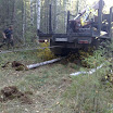 2174913092009182-med.jpg