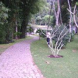 image_from_picasa