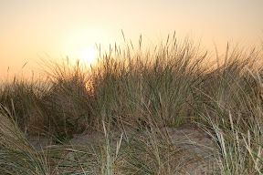 DSC_0348.JPG