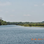 DSCN8168.JPG